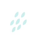 Decorative Shape